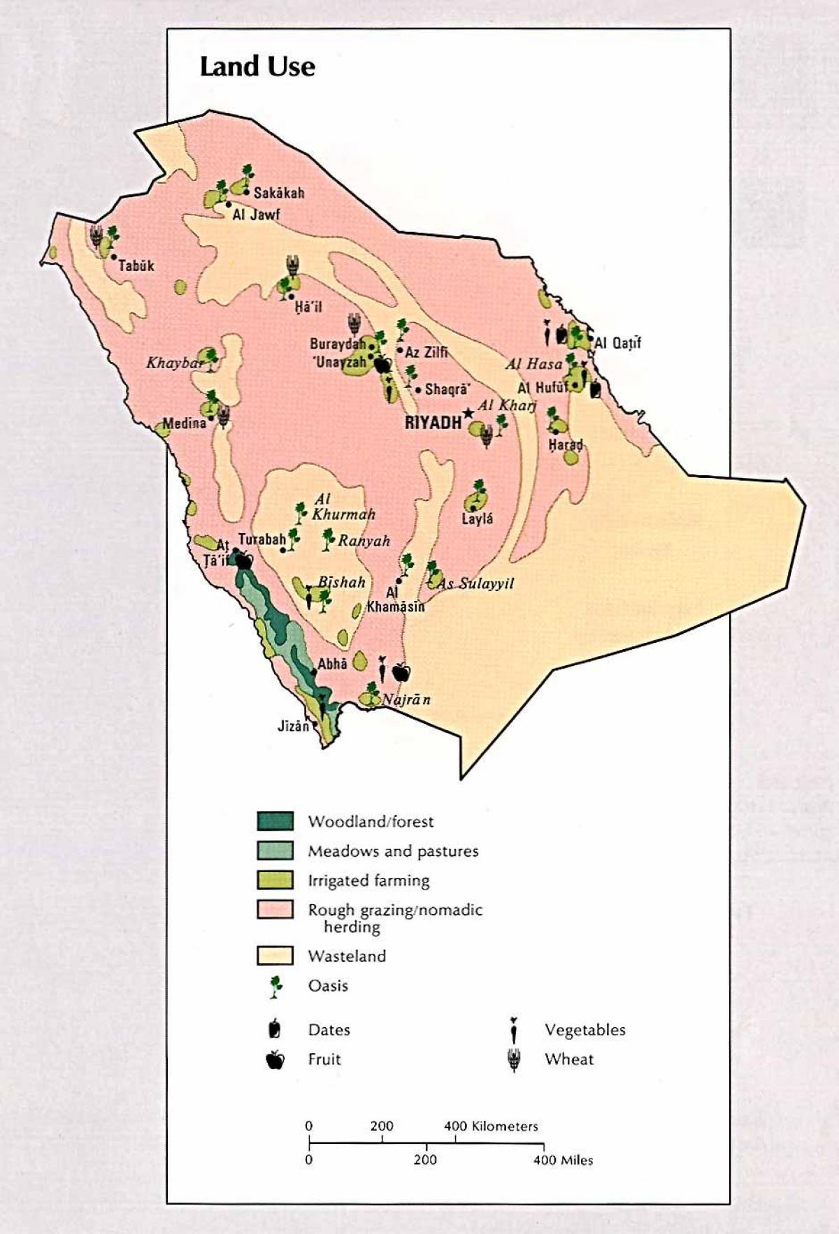 Mappa di Arabia Saudita risorse naturali