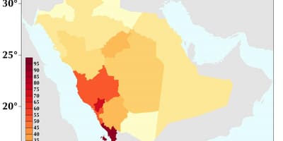 Arabia Saudita densità di popolazione mappa